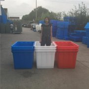 多規(guī)格水產(chǎn)養(yǎng)殖桶_塑料養(yǎng)殖桶_魚(yú)苗養(yǎng)殖桶杭州案例